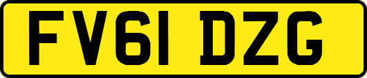 FV61DZG