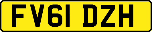 FV61DZH