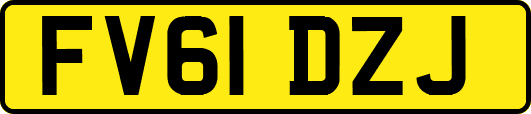 FV61DZJ