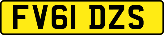 FV61DZS