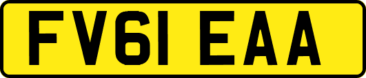 FV61EAA