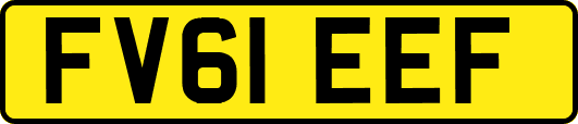 FV61EEF