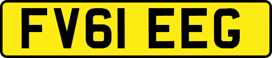 FV61EEG