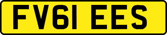 FV61EES
