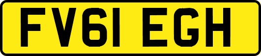 FV61EGH