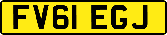 FV61EGJ