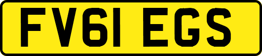 FV61EGS