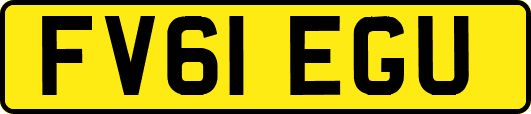 FV61EGU