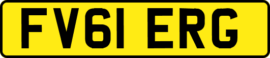 FV61ERG