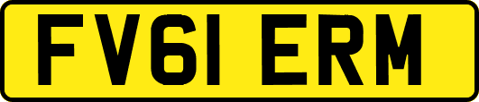 FV61ERM