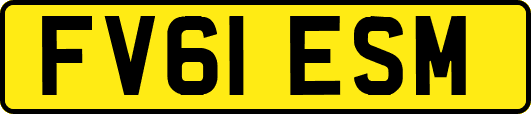 FV61ESM