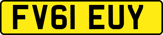 FV61EUY