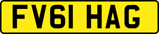 FV61HAG