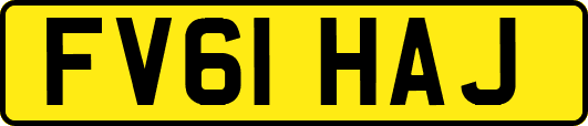 FV61HAJ