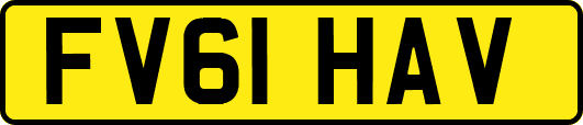 FV61HAV