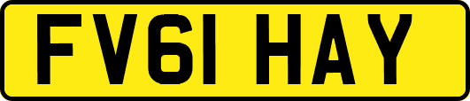 FV61HAY