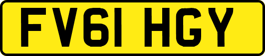 FV61HGY