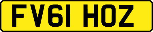 FV61HOZ
