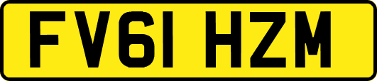 FV61HZM