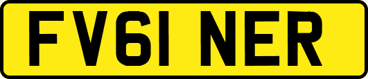FV61NER