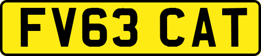 FV63CAT