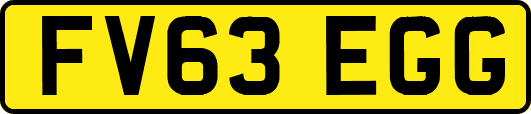 FV63EGG