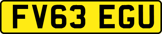 FV63EGU