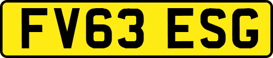 FV63ESG