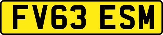 FV63ESM