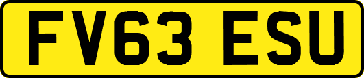 FV63ESU
