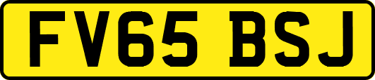 FV65BSJ