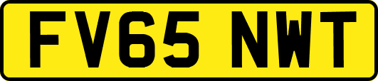 FV65NWT