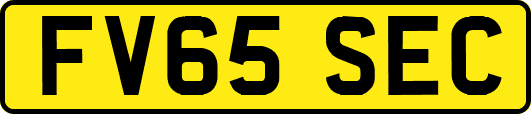FV65SEC