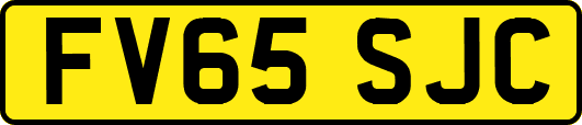 FV65SJC