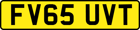 FV65UVT