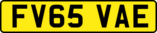FV65VAE