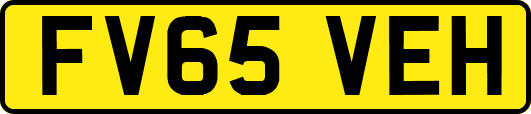 FV65VEH