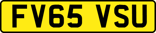 FV65VSU