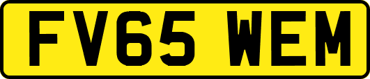 FV65WEM