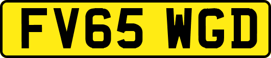 FV65WGD