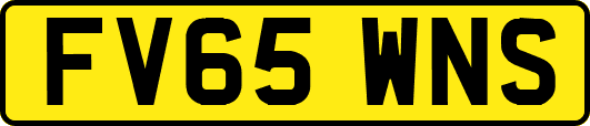 FV65WNS