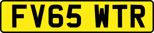 FV65WTR
