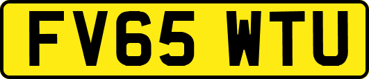 FV65WTU