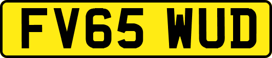 FV65WUD