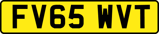 FV65WVT