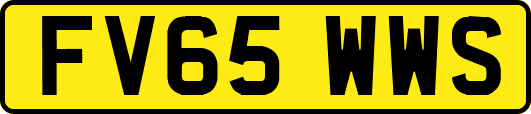 FV65WWS