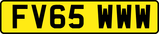 FV65WWW
