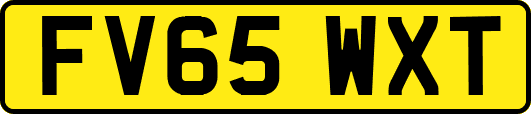 FV65WXT