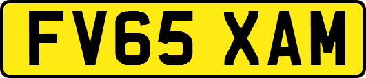 FV65XAM
