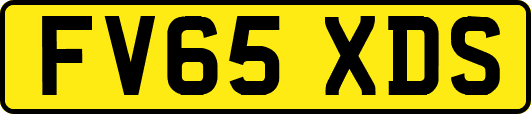FV65XDS